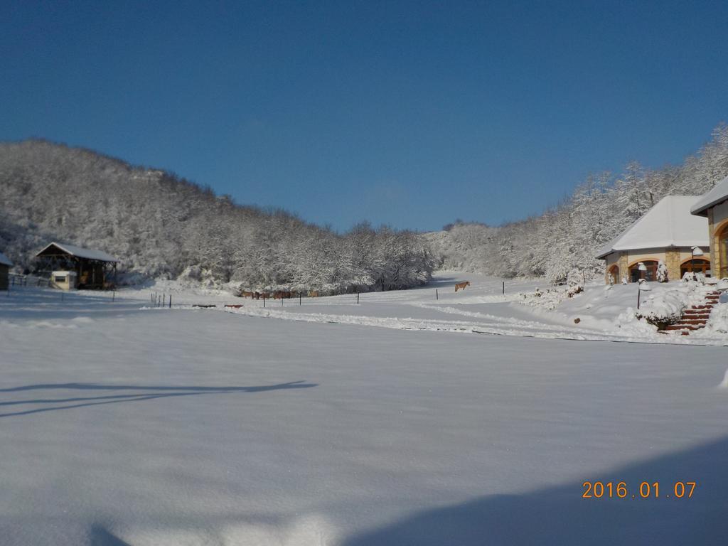 Bátaapáti Naspolya Panzio Es Etterem Bed & Breakfast エクステリア 写真